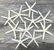 Starfish 10 Pack White Finger Starfish 4"-5"  for Craft and Décor